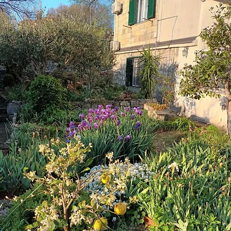 Daire Karlana - Centar