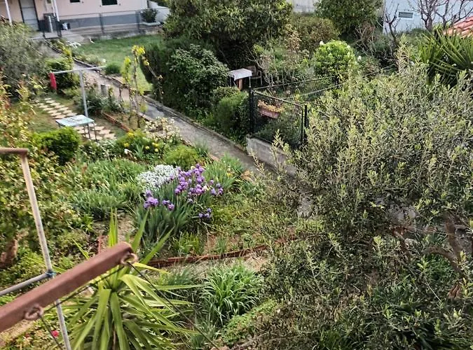 Karlana - Centar Split