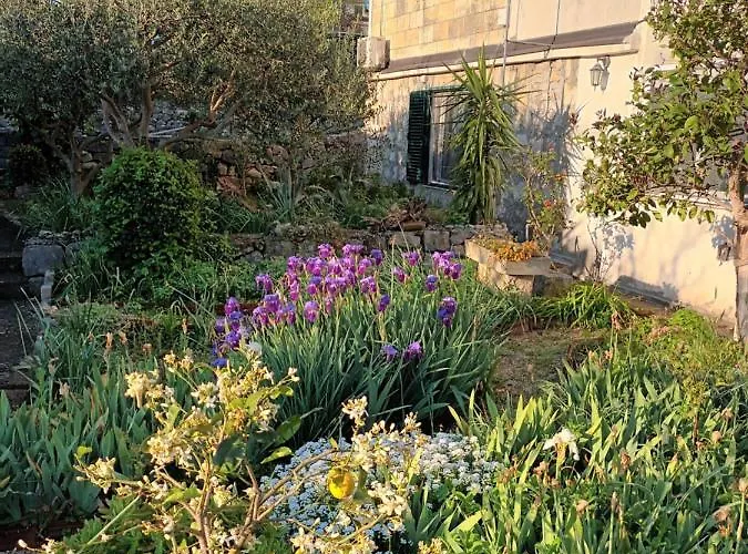 Apartman Karlana - Centar